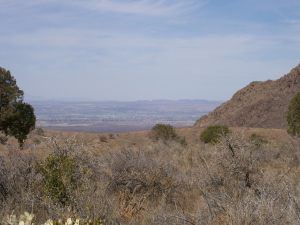 view of Las Cruces